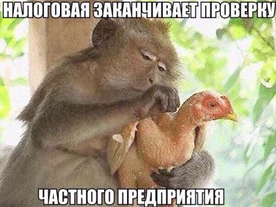 Прикрепленное изображение: 15352453.jpg